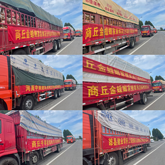 非凡国际(中国区)-官方网站